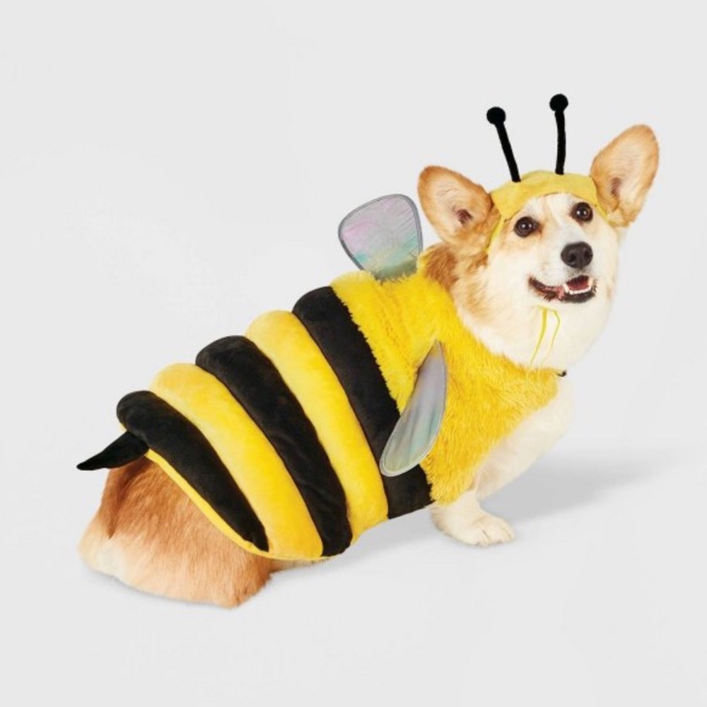 Dog Bee Halloween Costume Size Medium